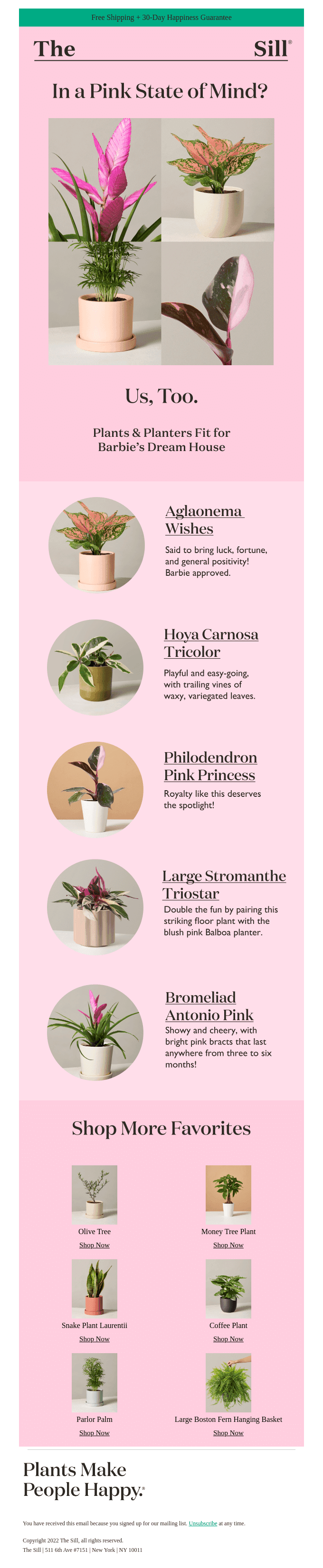 💖 Barbie-Approved Pink Plants & Planters