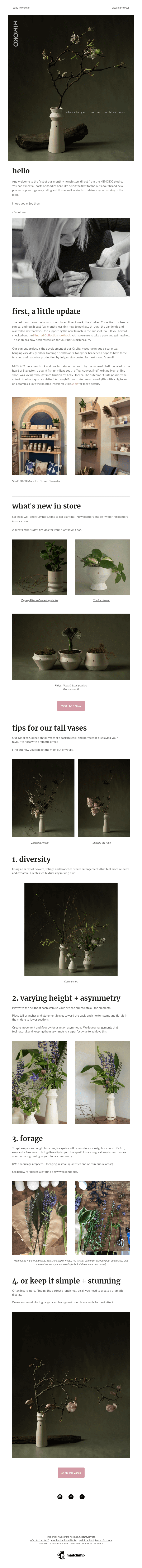 June newsletter + floral styling tips for beautiful home 💕