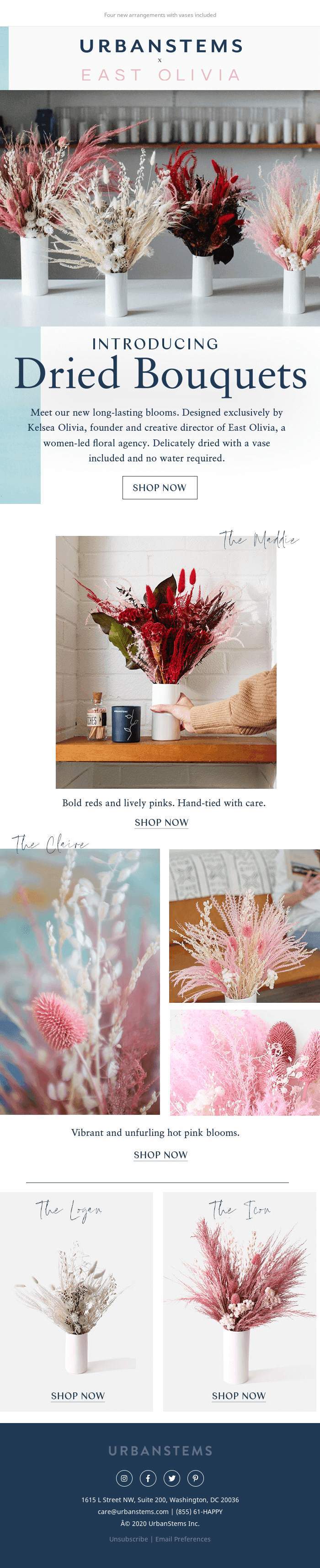 New dried bouquets by East Olivia