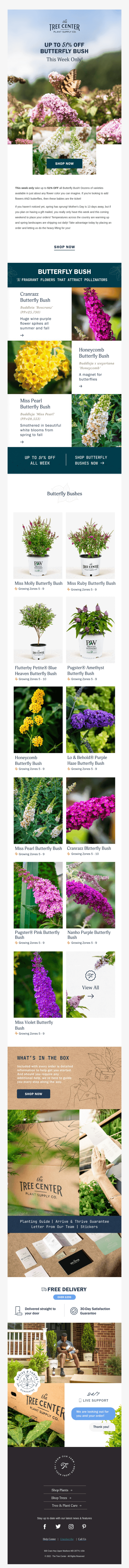 This Week Only - Butterfly Bush Up To 51% Off!