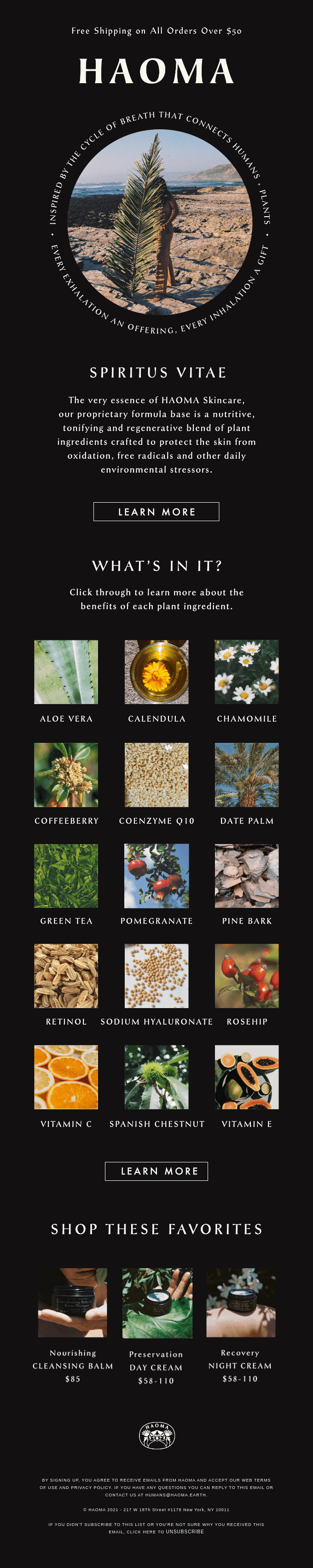 What Connects Humans + Plants?